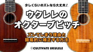 ウクレレのコンディションをチェックする方法｜ウクレレ専門店カルチ 